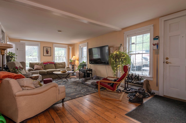 living room with hardwood / wood-style flooring and plenty of natural light