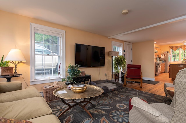 living room featuring light hardwood / wood-style floors