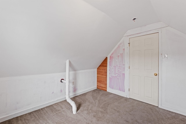 additional living space featuring carpet and lofted ceiling