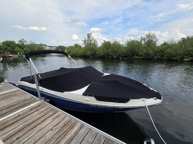 view of dock with a water view