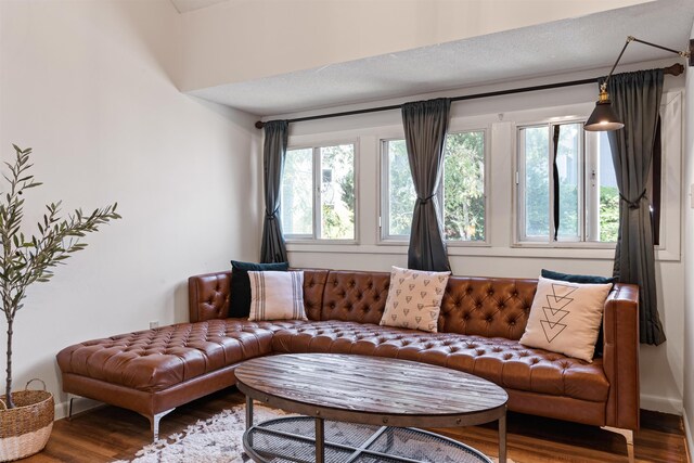 living room with dark hardwood / wood-style flooring