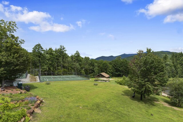 view of yard with a mountain view