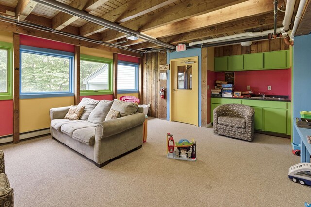 living room featuring a baseboard radiator and carpet