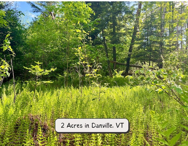 00 Hawkins Rd, Danville VT, 05828 land for sale