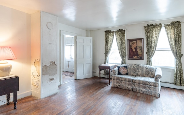 sitting room featuring hardwood / wood-style flooring, a wealth of natural light, and a baseboard radiator