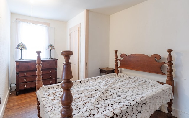 bedroom featuring wood-type flooring