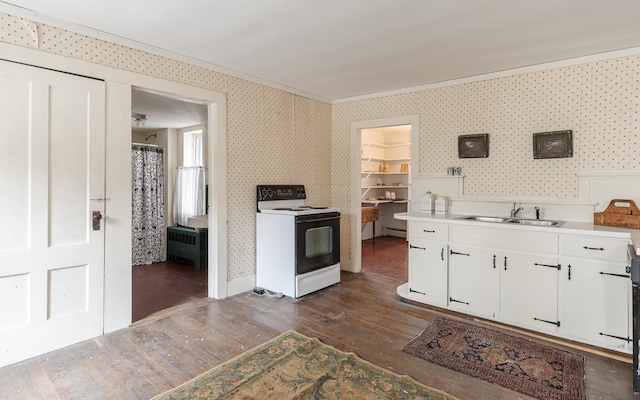 kitchen featuring dark wood-type flooring, sink, white electric stove, white cabinetry, and radiator heating unit