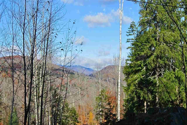 LOT4 Echo View Dr, Plymouth VT, 05056 land for sale