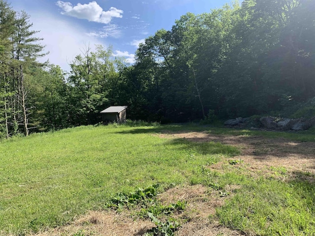 view of yard with an outbuilding and a shed