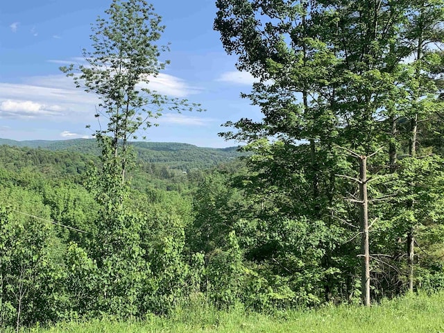 mountain view featuring a wooded view