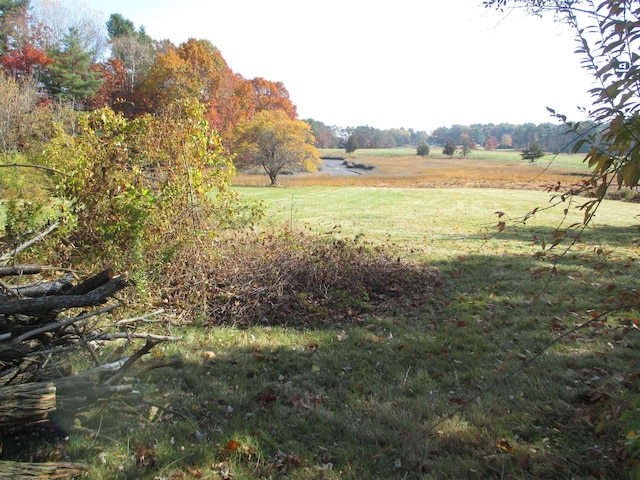 view of yard with a rural view