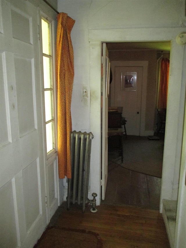 hallway featuring radiator heating unit and dark hardwood / wood-style flooring