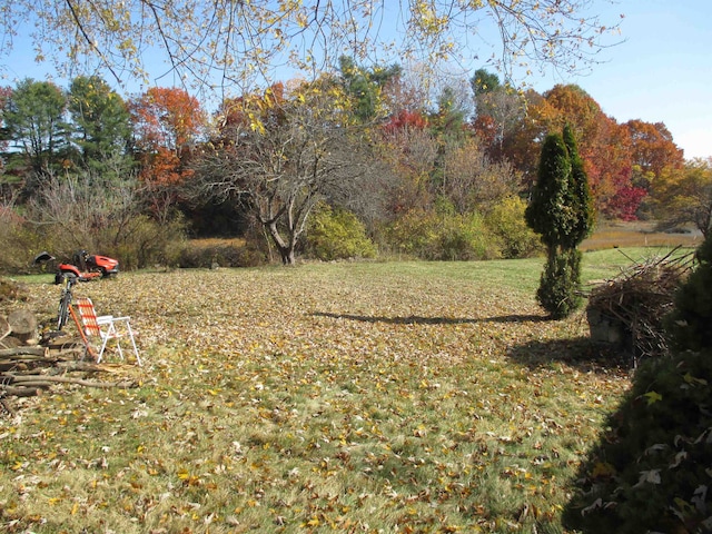 view of yard