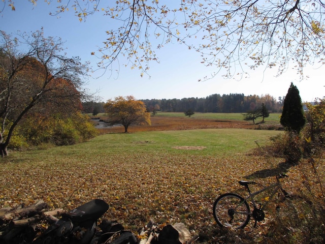 view of yard with a rural view