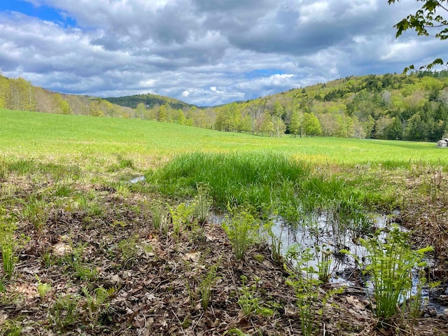 1503 Rush Meadow Rd, West Windsor VT, 05037 land for sale