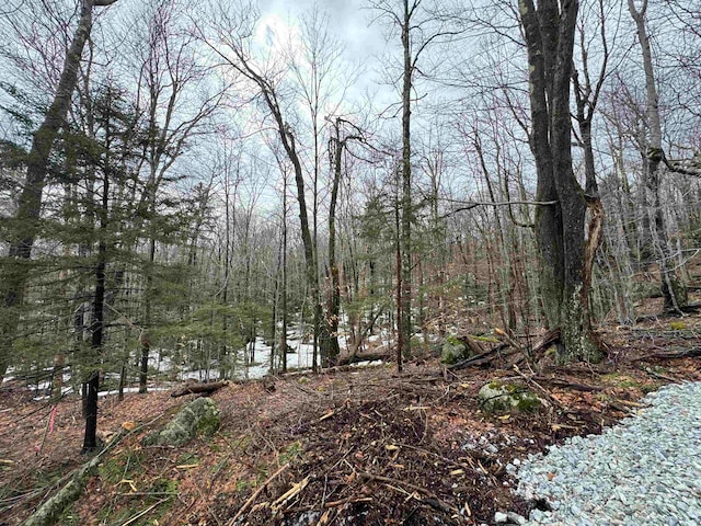 Listing photo 3 for 9 Cortina Country Rd, Mendon VT 05701