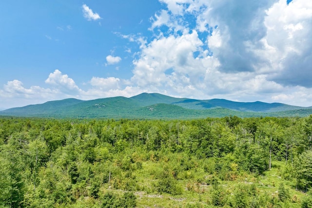 LOT17 Sedgewood Dr, Tuftonboro NH, 03816 land for sale