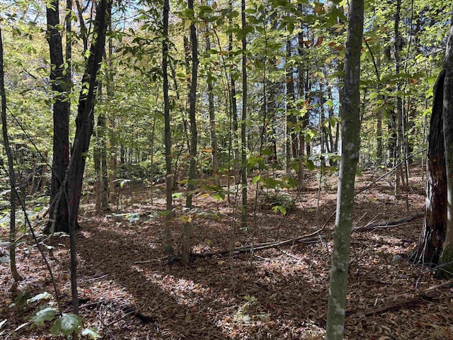 0 Snell Rd, Chester VT, 05143 land for sale