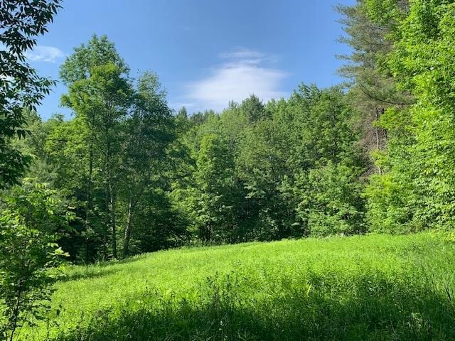 95 Jenne Rd, Hartland VT, 05048 land for sale