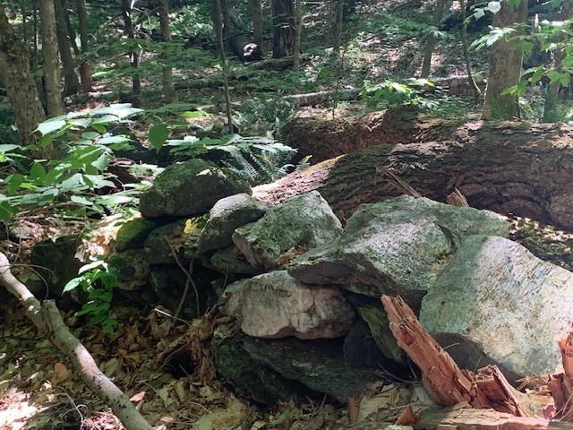 95 Jenne Rd, Hartland, VT 05048