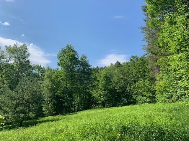 95 Jenne Rd, Hartland, VT 05048