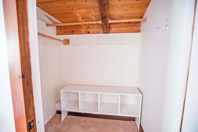 walk in closet with carpet flooring