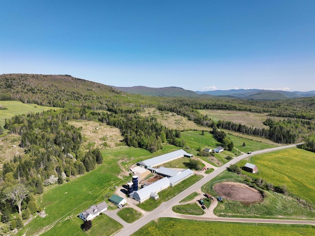 birds eye view of property featuring a mountain view