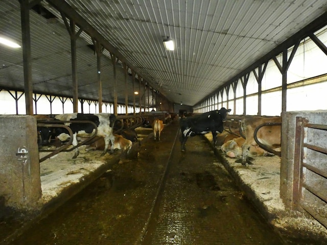 view of horse barn