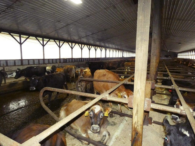 view of horse barn