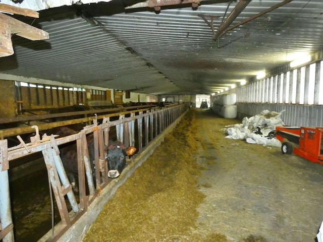 view of horse barn