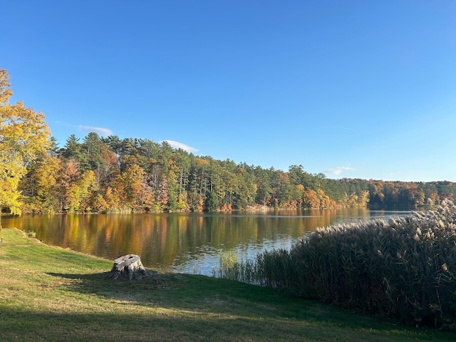 property view of water