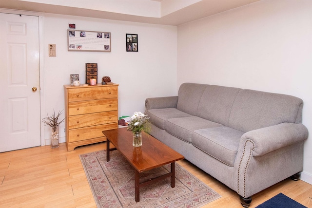 living room with hardwood / wood-style floors