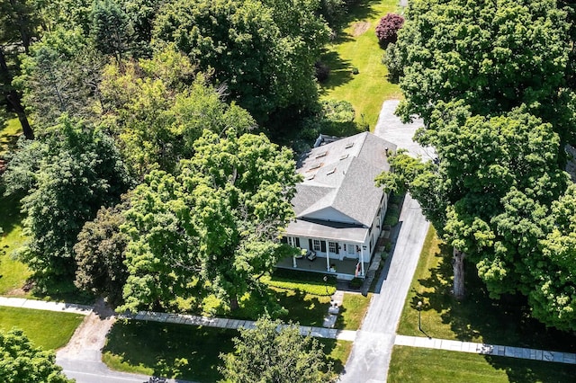 drone / aerial view
