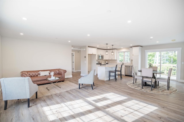 living room featuring light hardwood / wood-style flooring