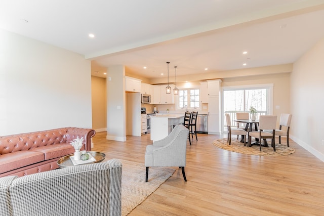 living room featuring light hardwood / wood-style flooring