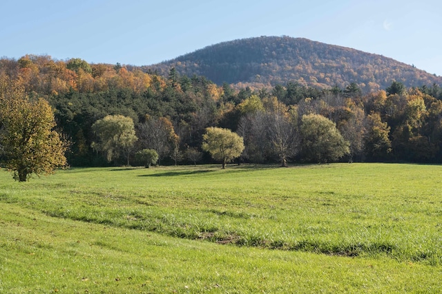 view of mountain feature