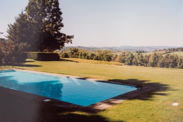 view of swimming pool with a lawn