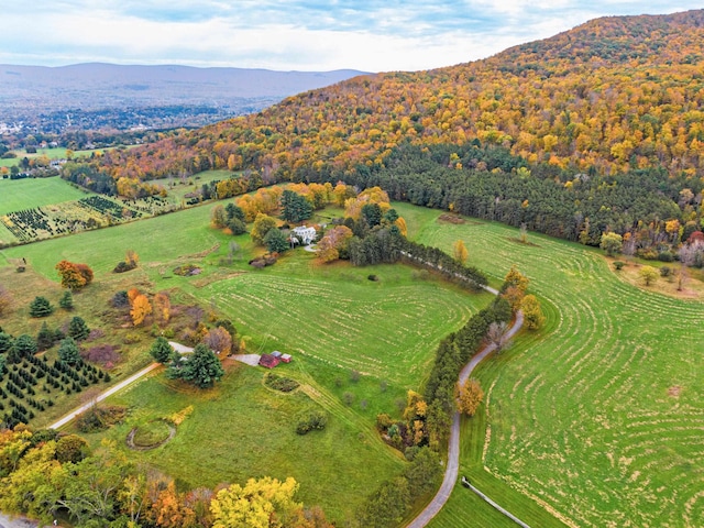 bird's eye view with a mountain view and a rural view