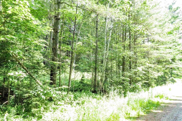 00 N Hill Pent Rd, Ludlow VT, 05149 land for sale