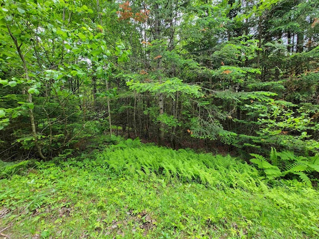 Cricket Ln, Colebrook NH, 03576 land for sale