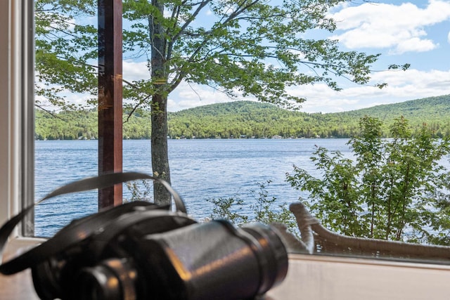 water view featuring a wooded view