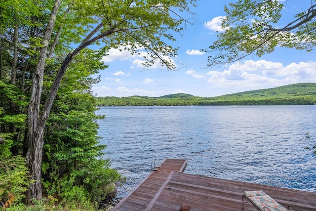 dock area with a water and mountain view