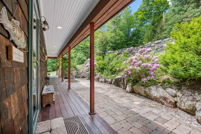 view of patio / terrace with covered porch