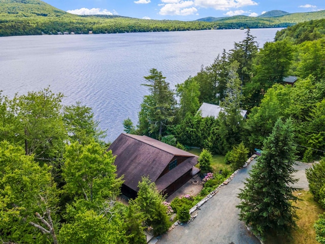 drone / aerial view with a forest view and a water and mountain view