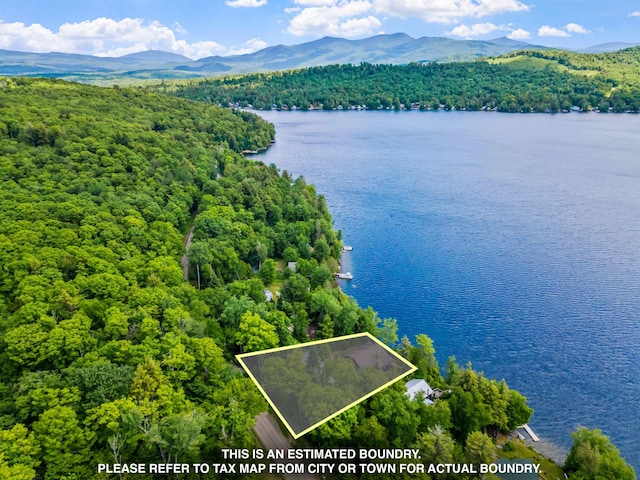 975 Westside Lake Rd, Maidstone, VT 05905 - view of property location featuring a forest, a water and mountain view, and property boundaries highlighted