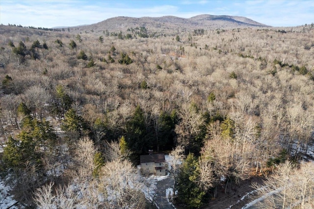 view of mountain feature featuring a forest view