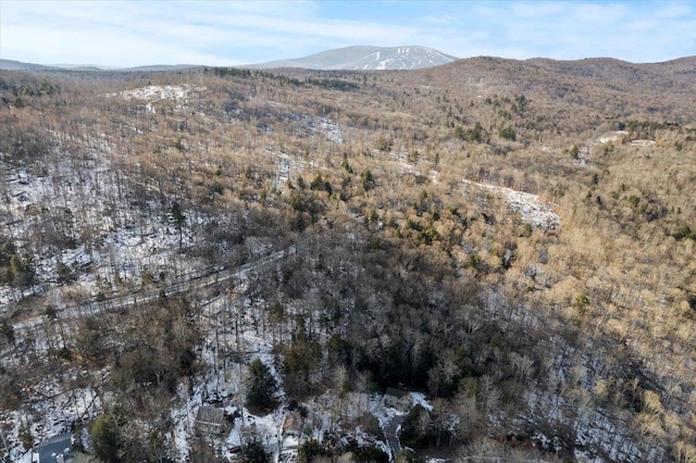 view of mountain feature