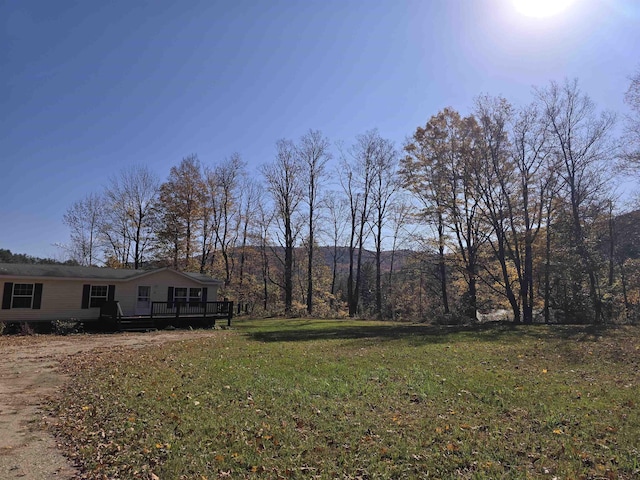 view of yard featuring a wooden deck