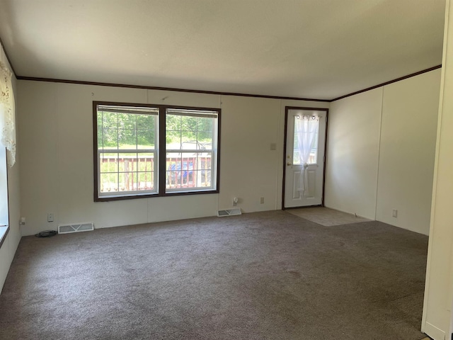 spare room featuring carpet floors and ornamental molding