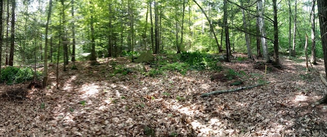 420 Sutton Rd, Newbury, NH 03255